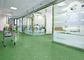 niles floors and blinds